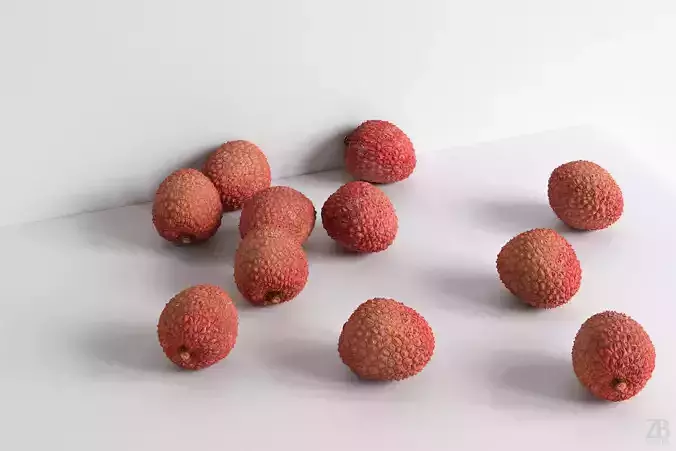 Lychee 3D model