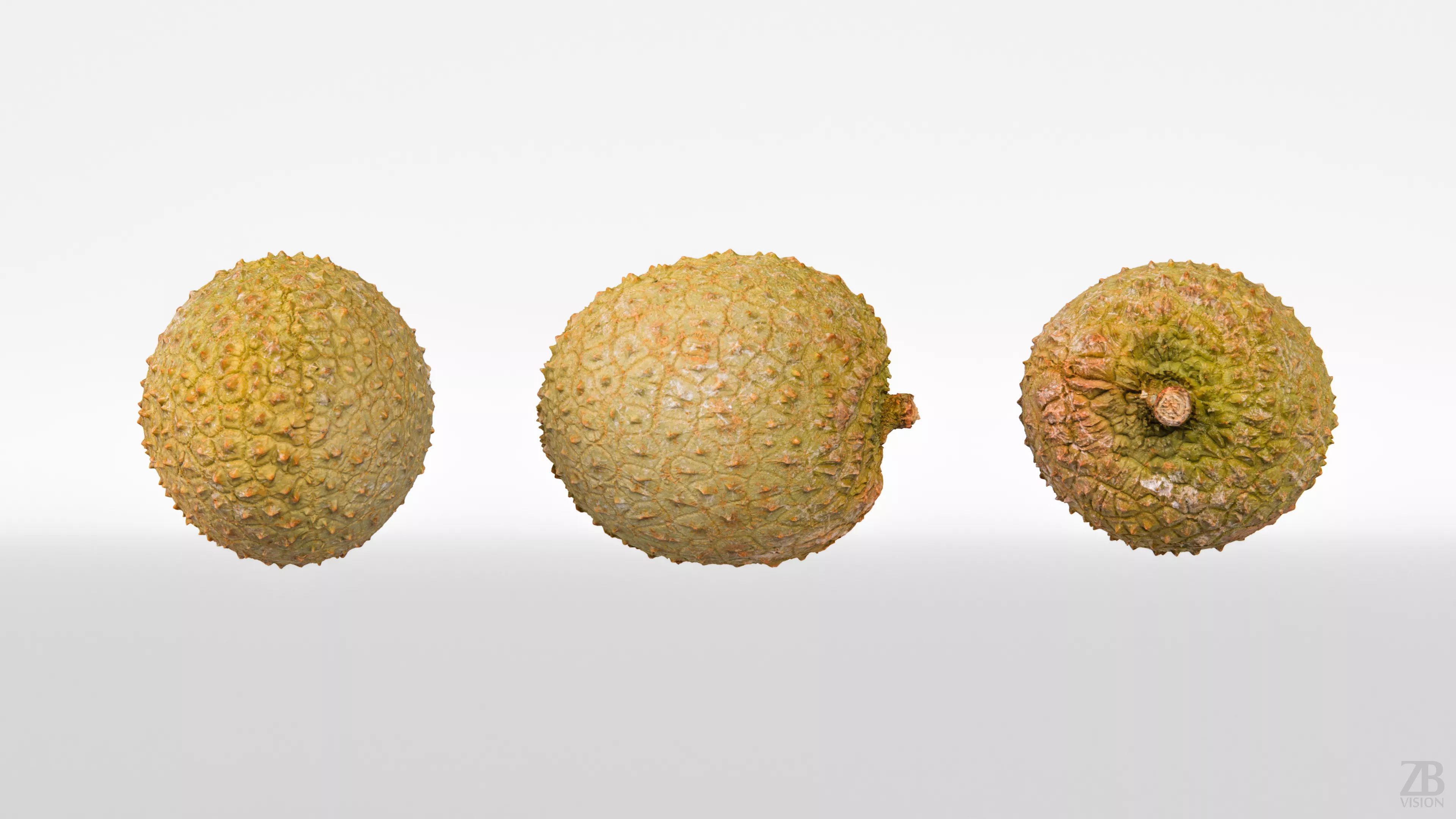 Lychee 3D model_4