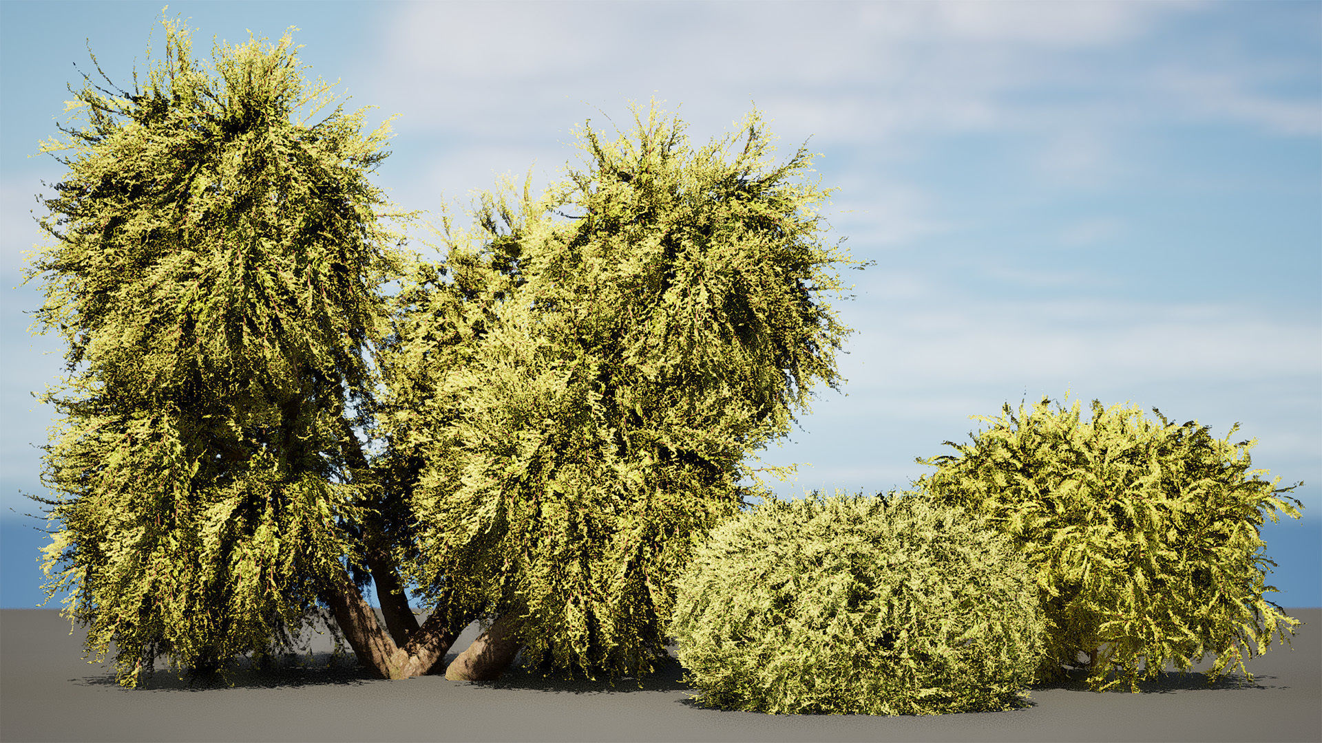 Golden Mop False Cypress bush Low-poly 3D model_2