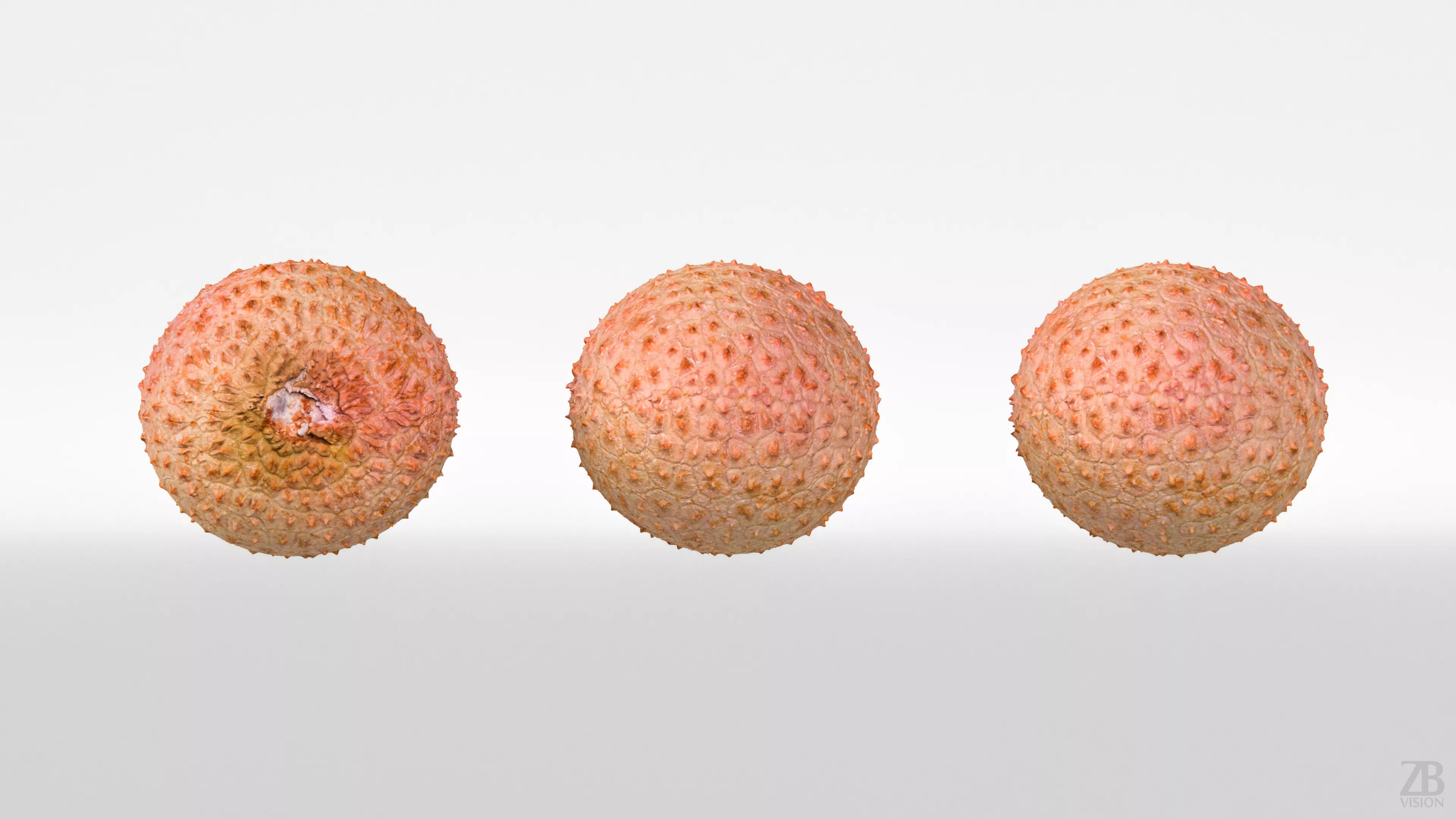 Lychee 3D model_4