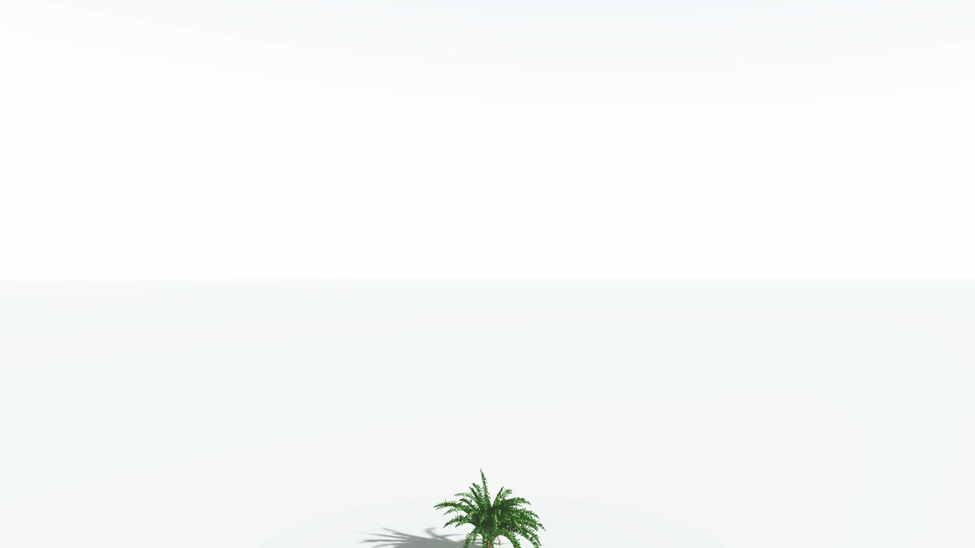 EVERYPlant African Oil Palm 2 --16 Models-- 3D model_22