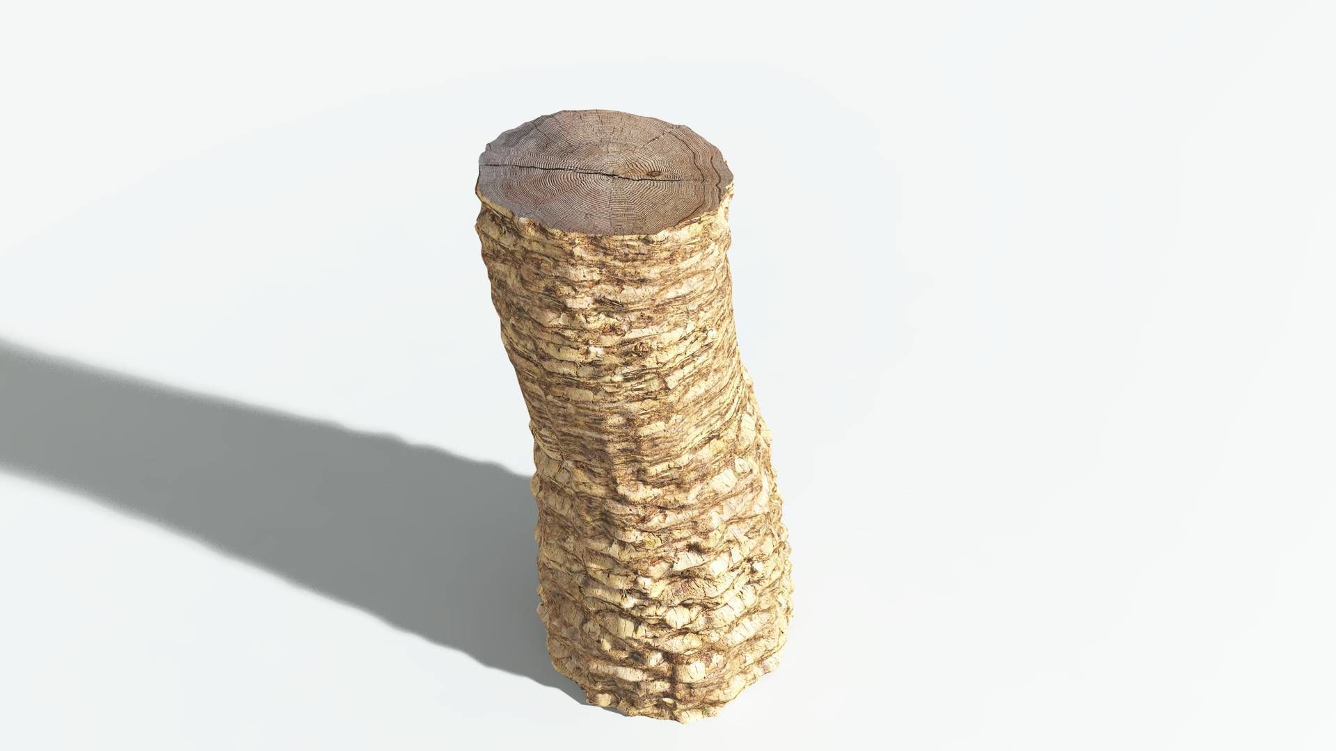 EVERYPlant African Oil Palm 2 --16 Models-- 3D model_13