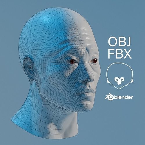 Male Head LowPoly Low-poly 3D model