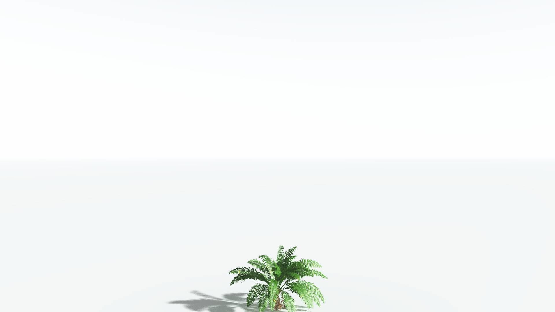 EVERYPlant African Oil Palm 3 --16 Models-- 3D model_20