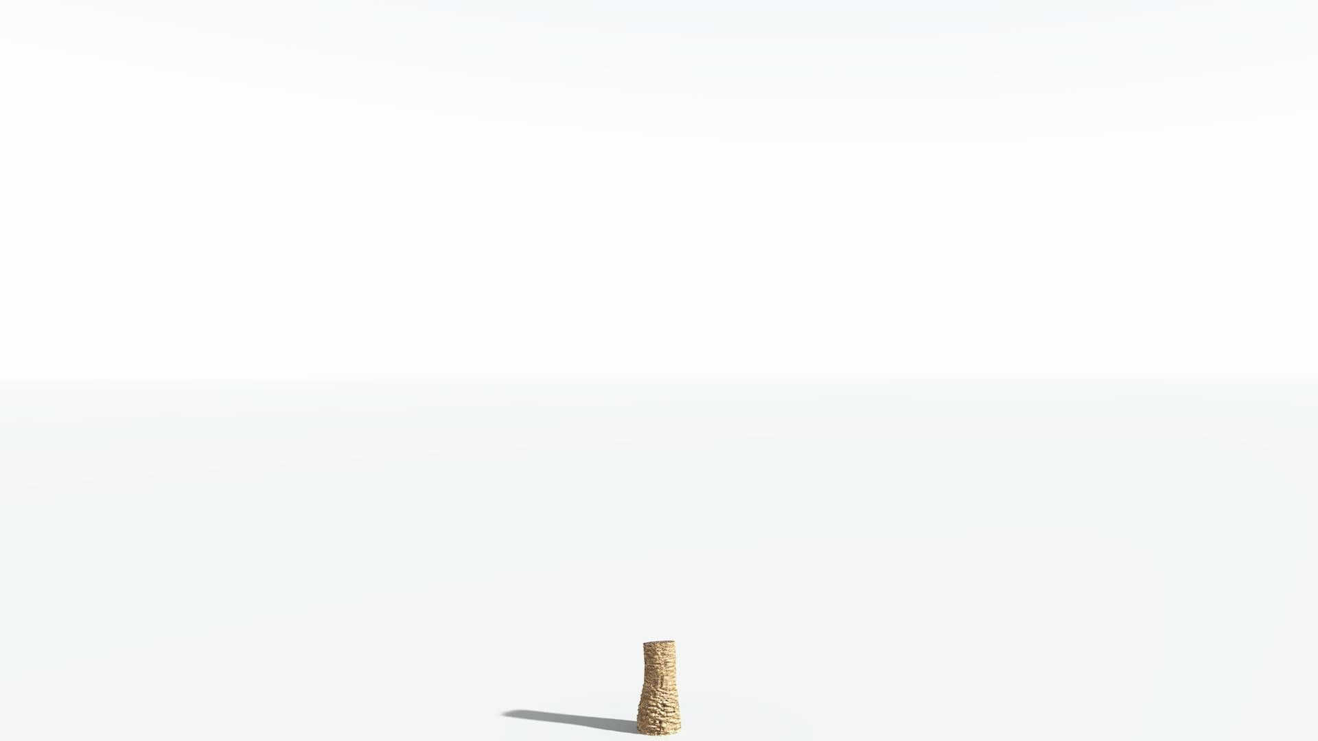 EVERYPlant African Oil Palm 3 --16 Models-- 3D model_12