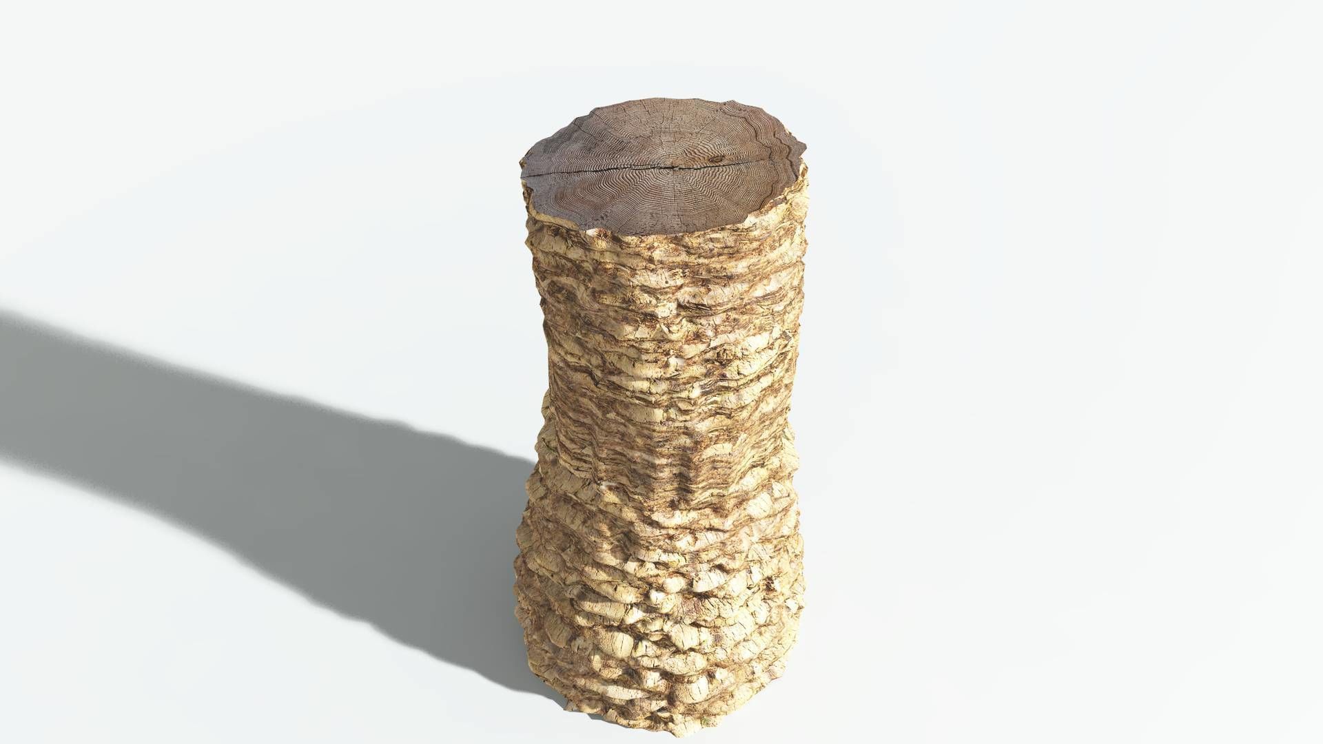 EVERYPlant African Oil Palm 3 --16 Models-- 3D model_13