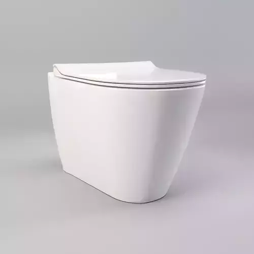 Ceramic wall hung standard toilet seat