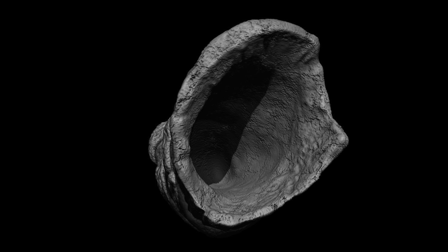 3D PRINTABLE ANCIENT CEREMONIAL HORN PROP 3D print model_4