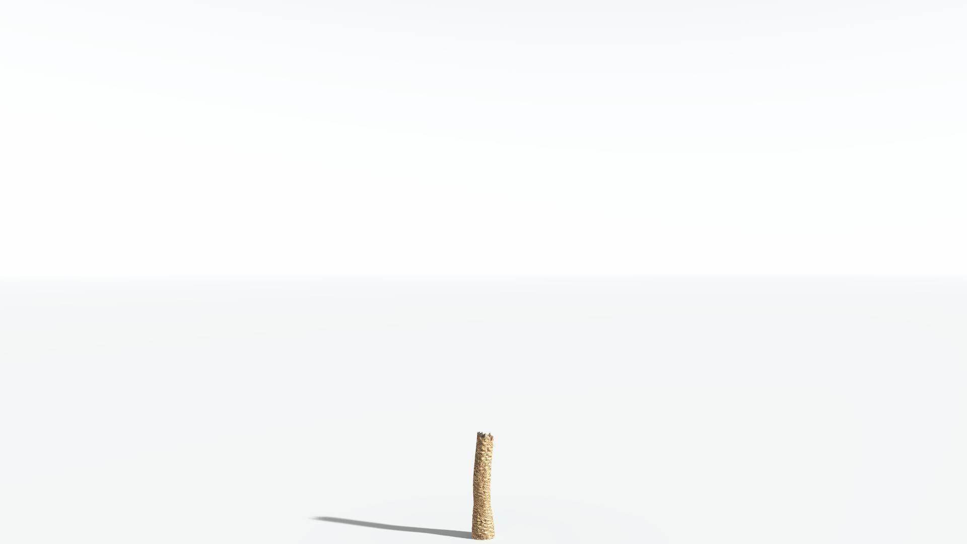 EVERYPlant African Oil Palm 4 --16 Models-- 3D model_12