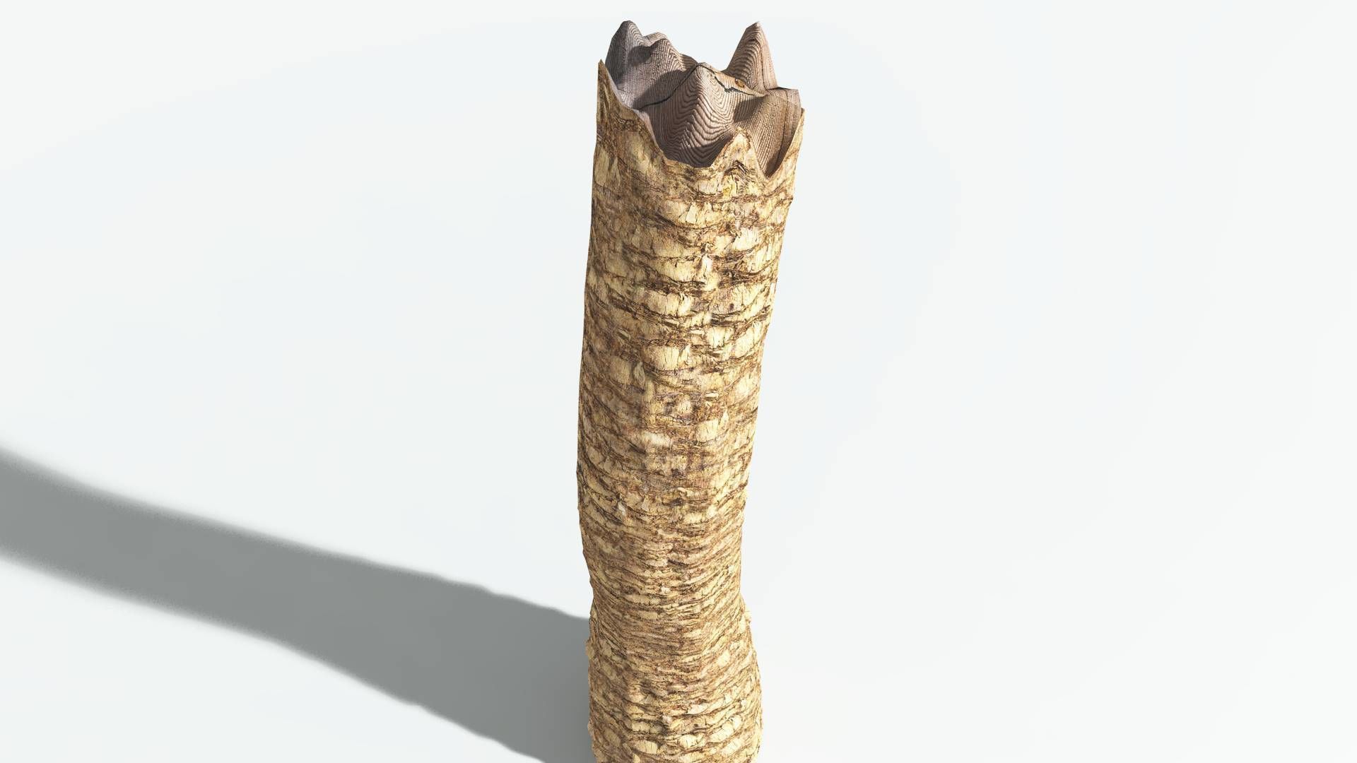 EVERYPlant African Oil Palm 4 --16 Models-- 3D model_13