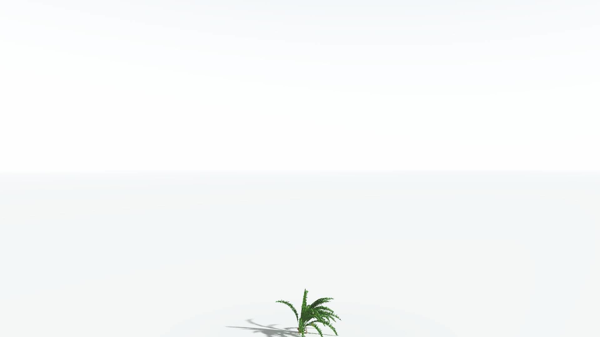 EVERYPlant African Oil Palm 4 --16 Models-- 3D model_22