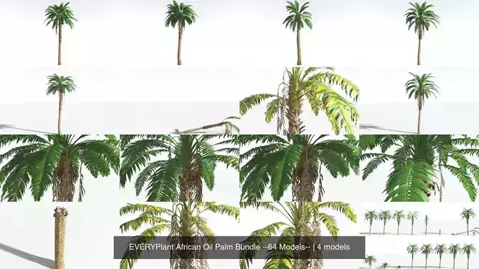 EVERYPlant African Oil Palm Bundle --64 Models-- 3D Model Collection