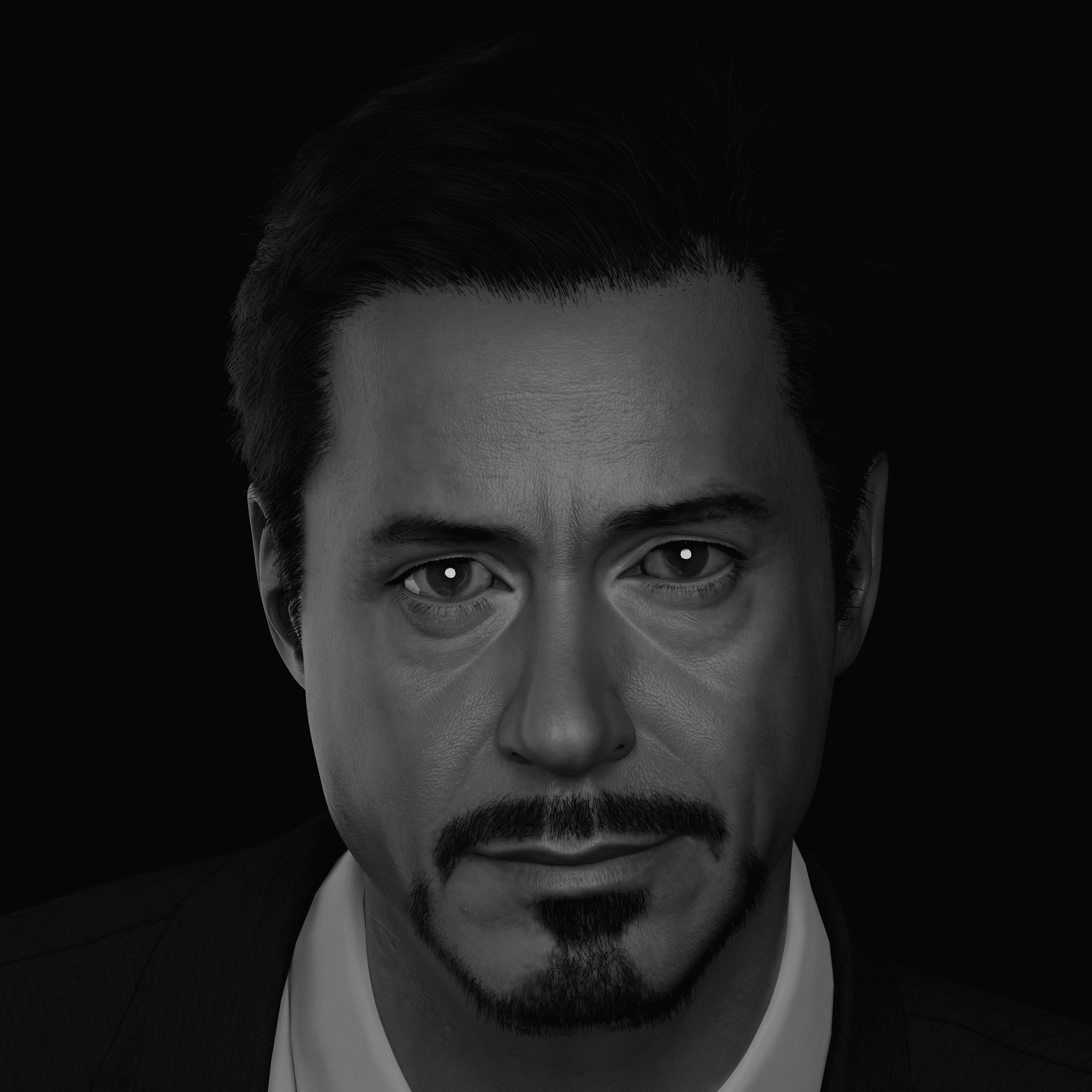 Robert Downey Jr - Iron Man Realistic Portrait 3D model 3D model_16