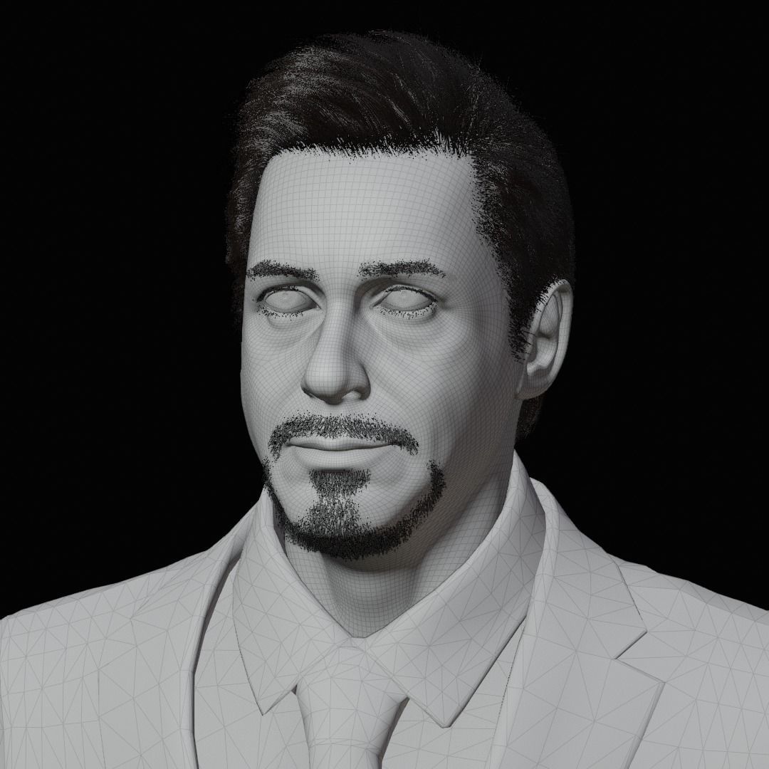 Robert Downey Jr - Iron Man Realistic Portrait 3D model 3D model_8