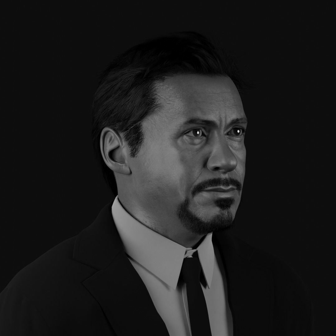 Robert Downey Jr - Iron Man Realistic Portrait 3D model 3D model_12