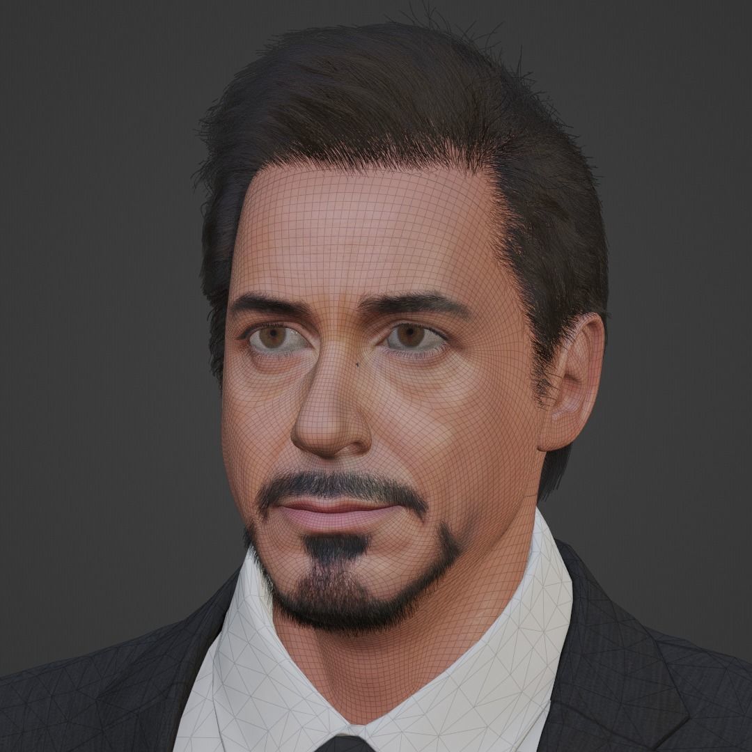 Robert Downey Jr - Iron Man Realistic Portrait 3D model 3D model_10