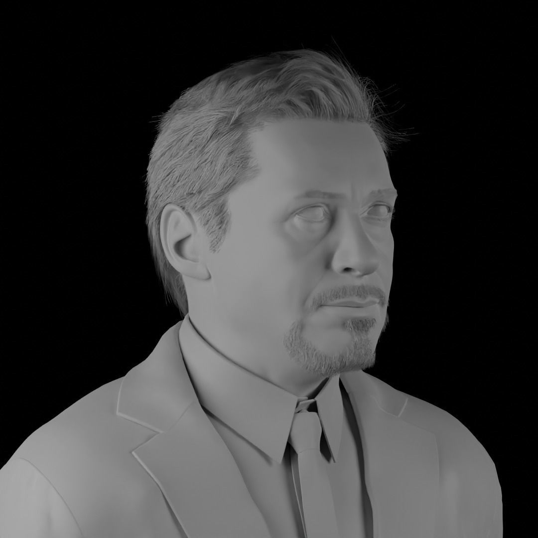 Robert Downey Jr - Iron Man Realistic Portrait 3D model 3D model_11