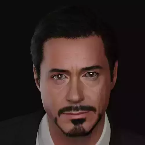 Robert Downey Jr - Iron Man Realistic Portrait 3D model 3D model
