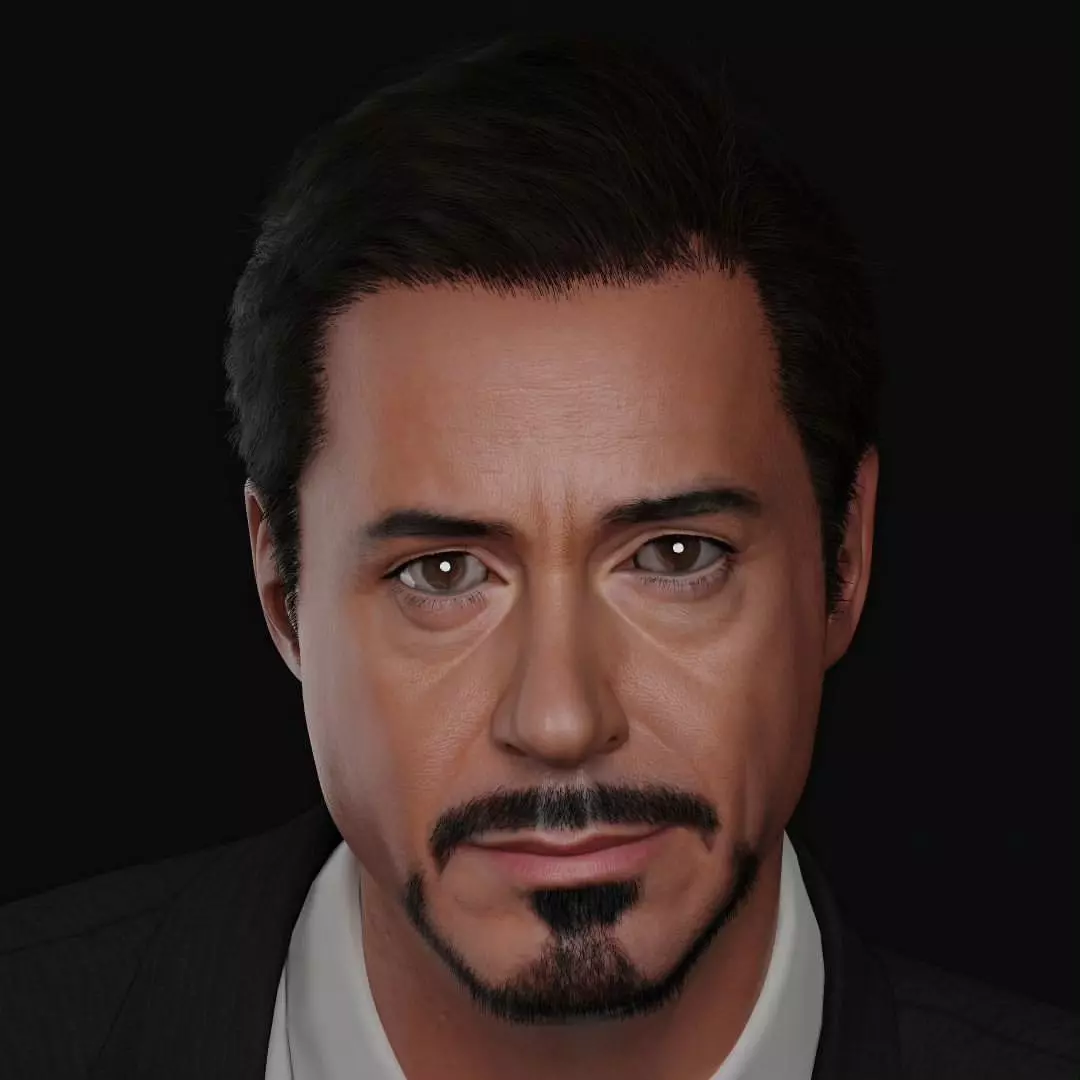 Robert Downey Jr - Iron Man Realistic Portrait 3D model 3D model_0