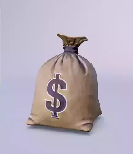 3D Bag Money