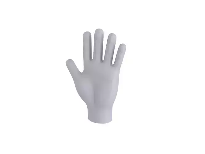 Hand 001 3D model