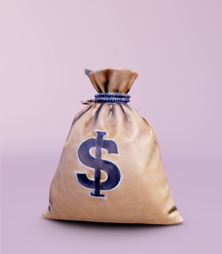 3D Bag Money 3D model_2