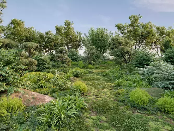 Package 11 Japanese Plants 3D model