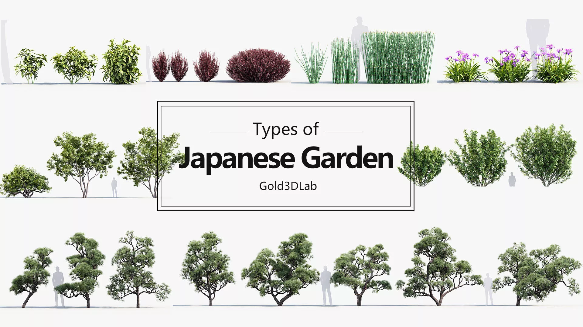 Japanese Plants collection 3D model