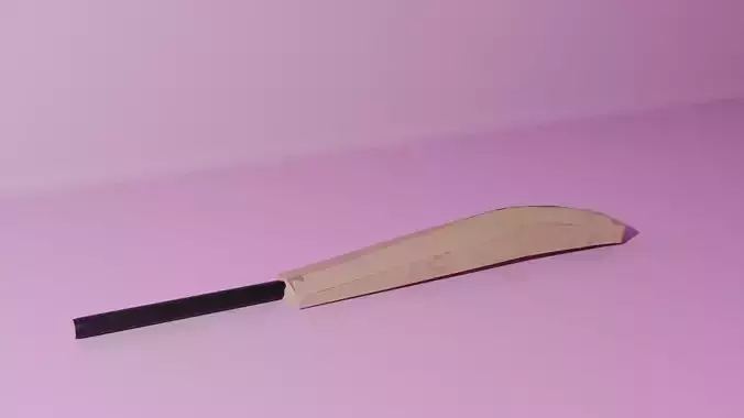 Wooden Cricket Bat