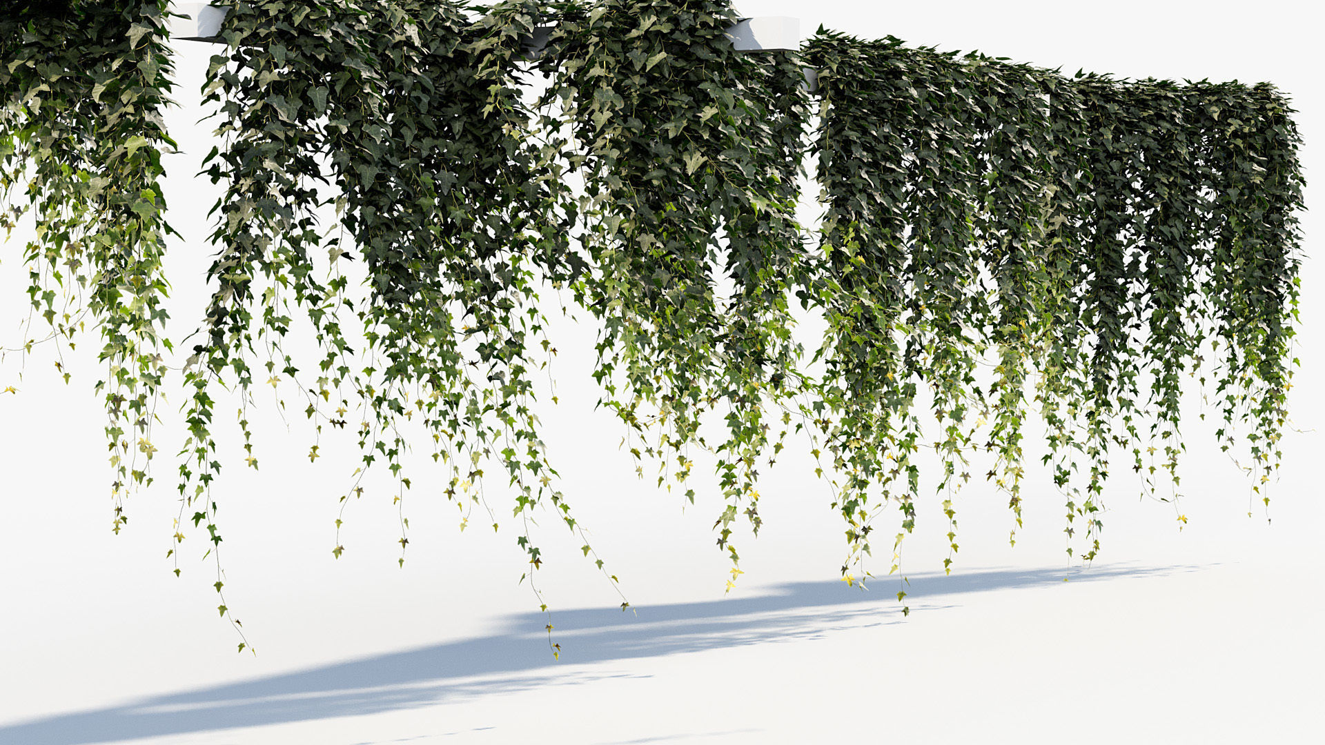 Package 12 Hang Vine Collection 3D model_46