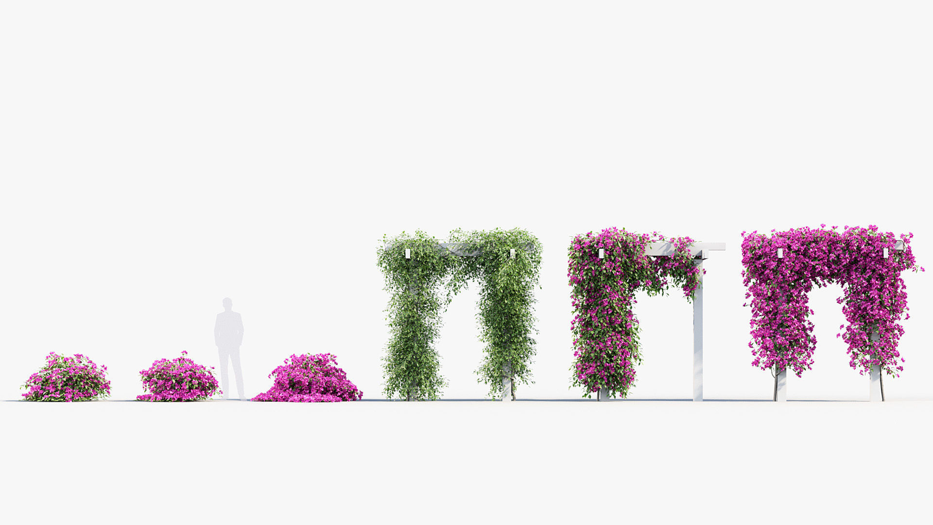 Package 12 Hang Vine Collection 3D model_1