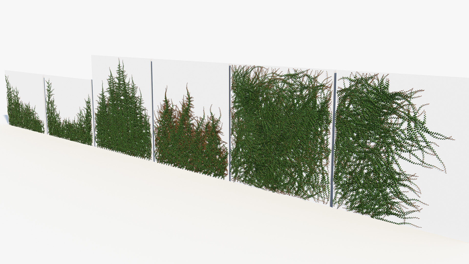 Package 12 Hang Vine Collection 3D model_63