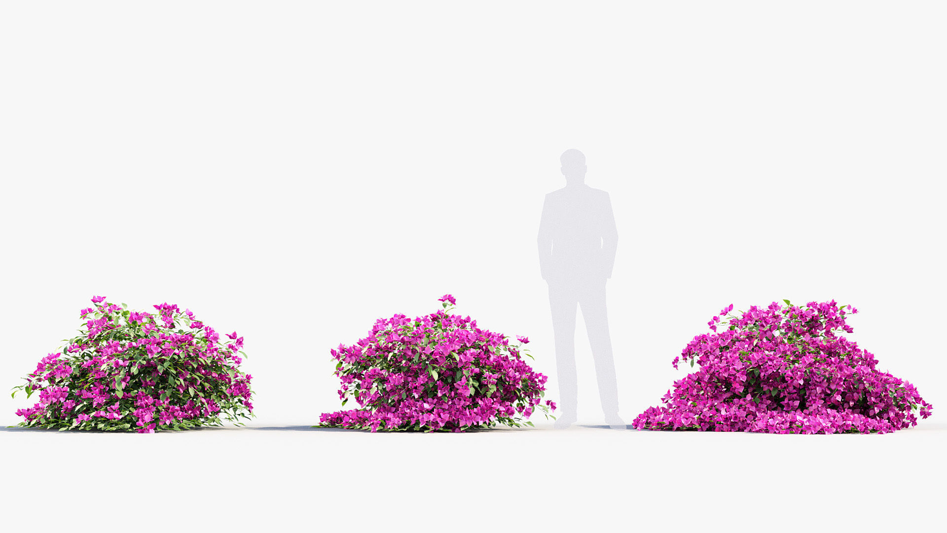 Package 12 Hang Vine Collection 3D model_2