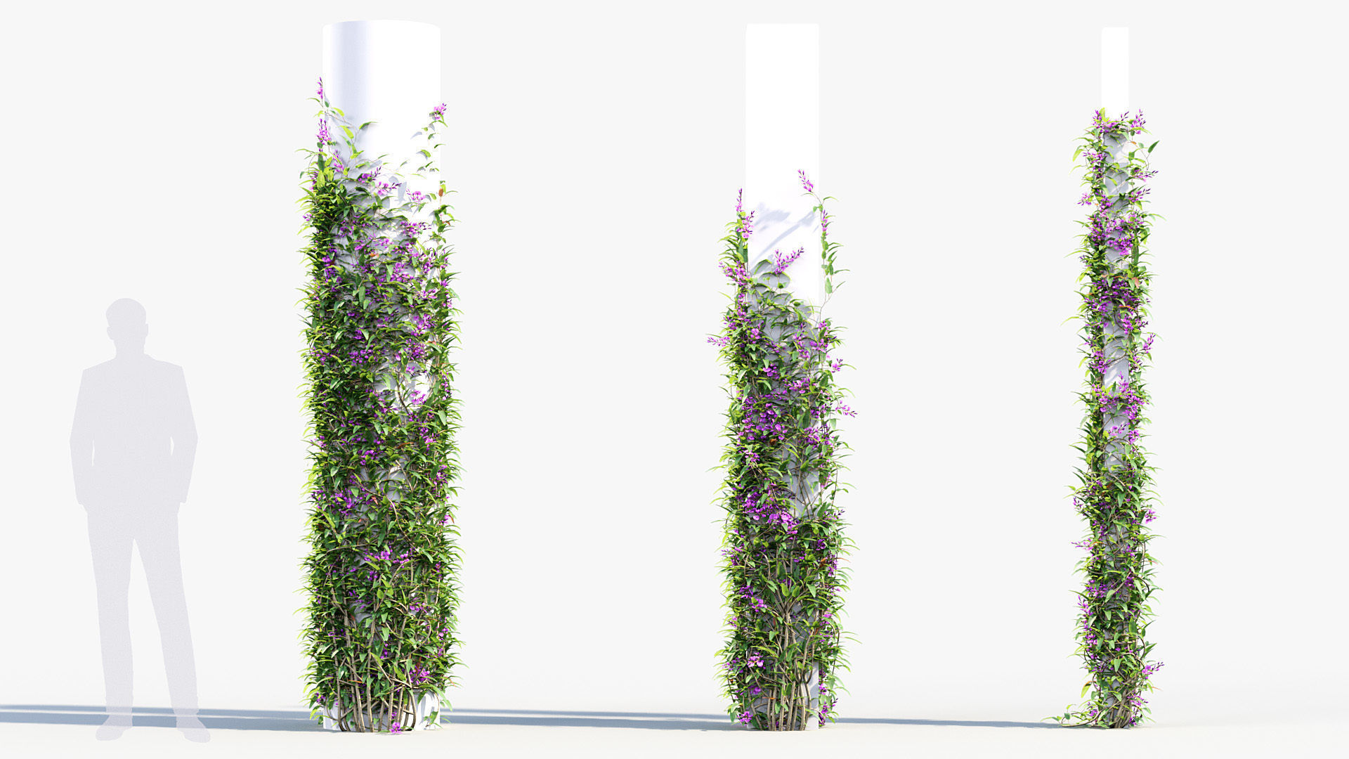 Package 12 Hang Vine Collection 3D model_67