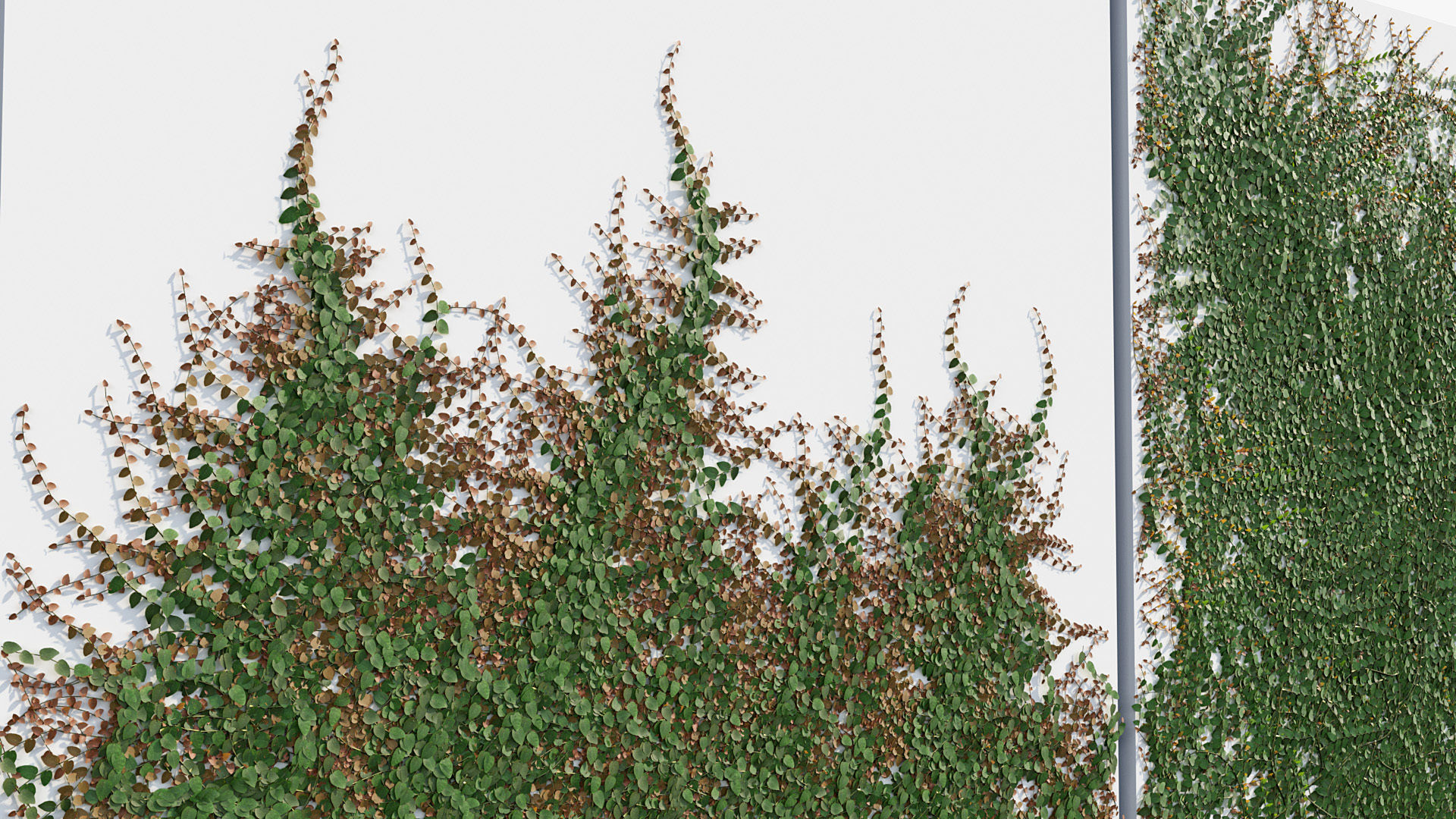 Package 12 Hang Vine Collection 3D model_62