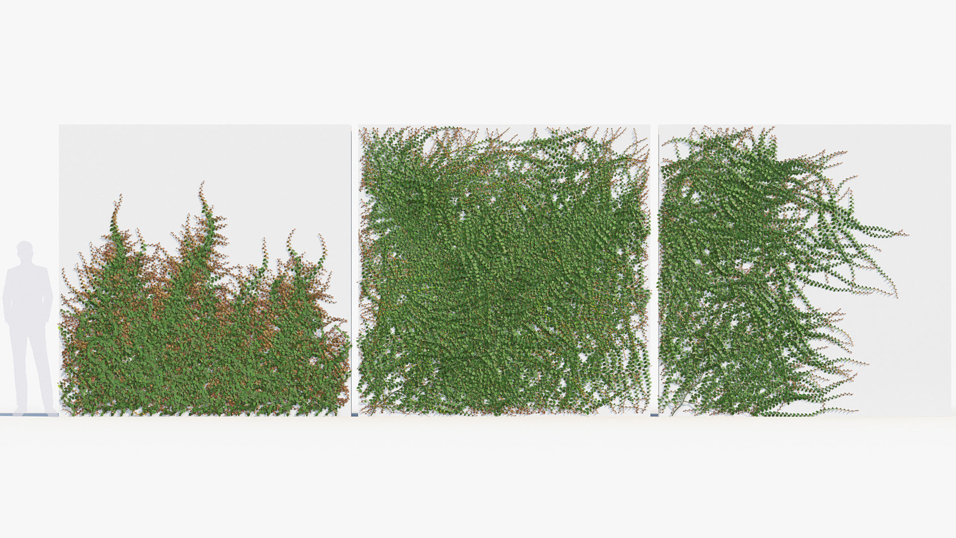 Package 12 Hang Vine Collection 3D model_59