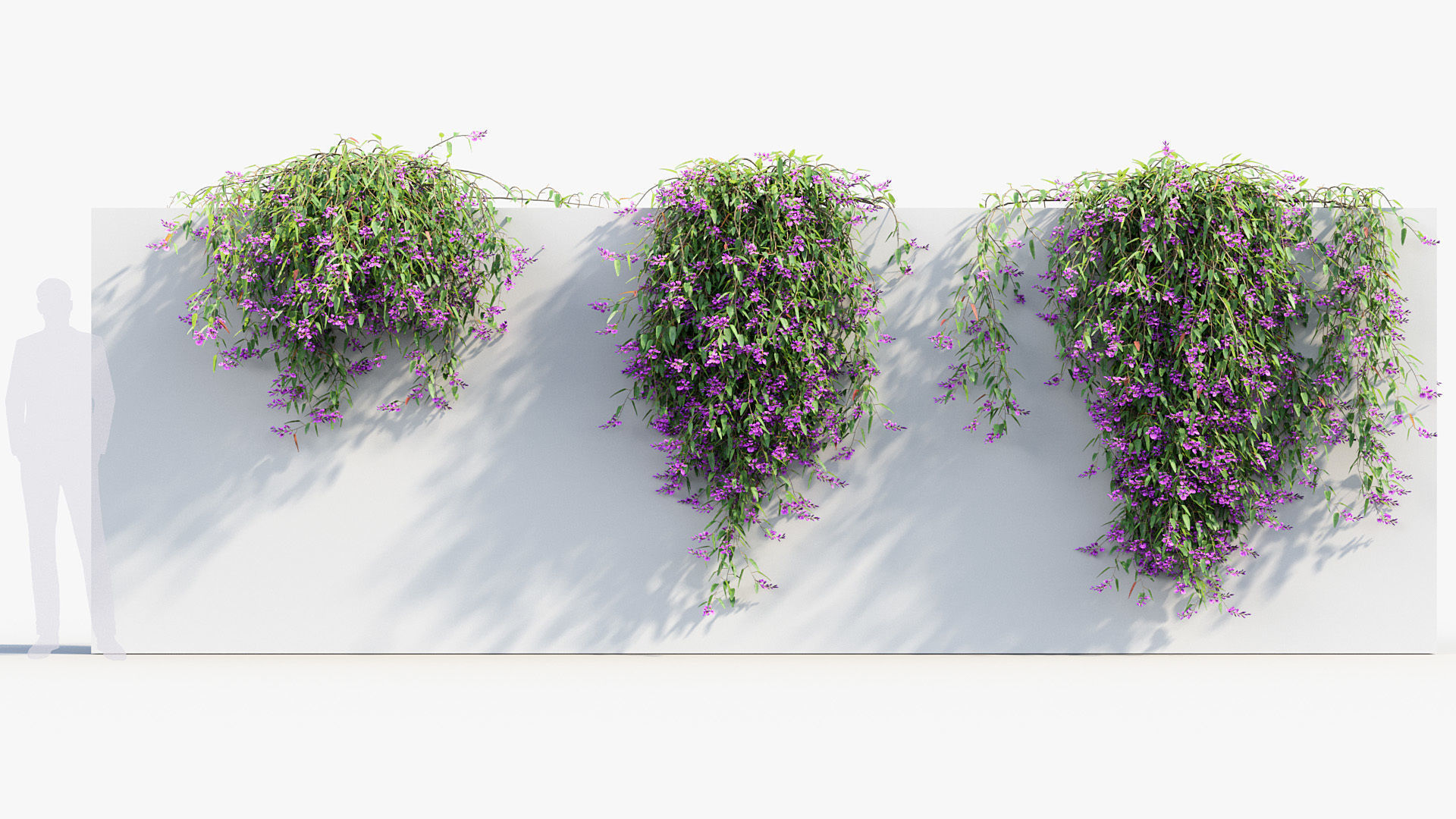 Package 12 Hang Vine Collection 3D model_75