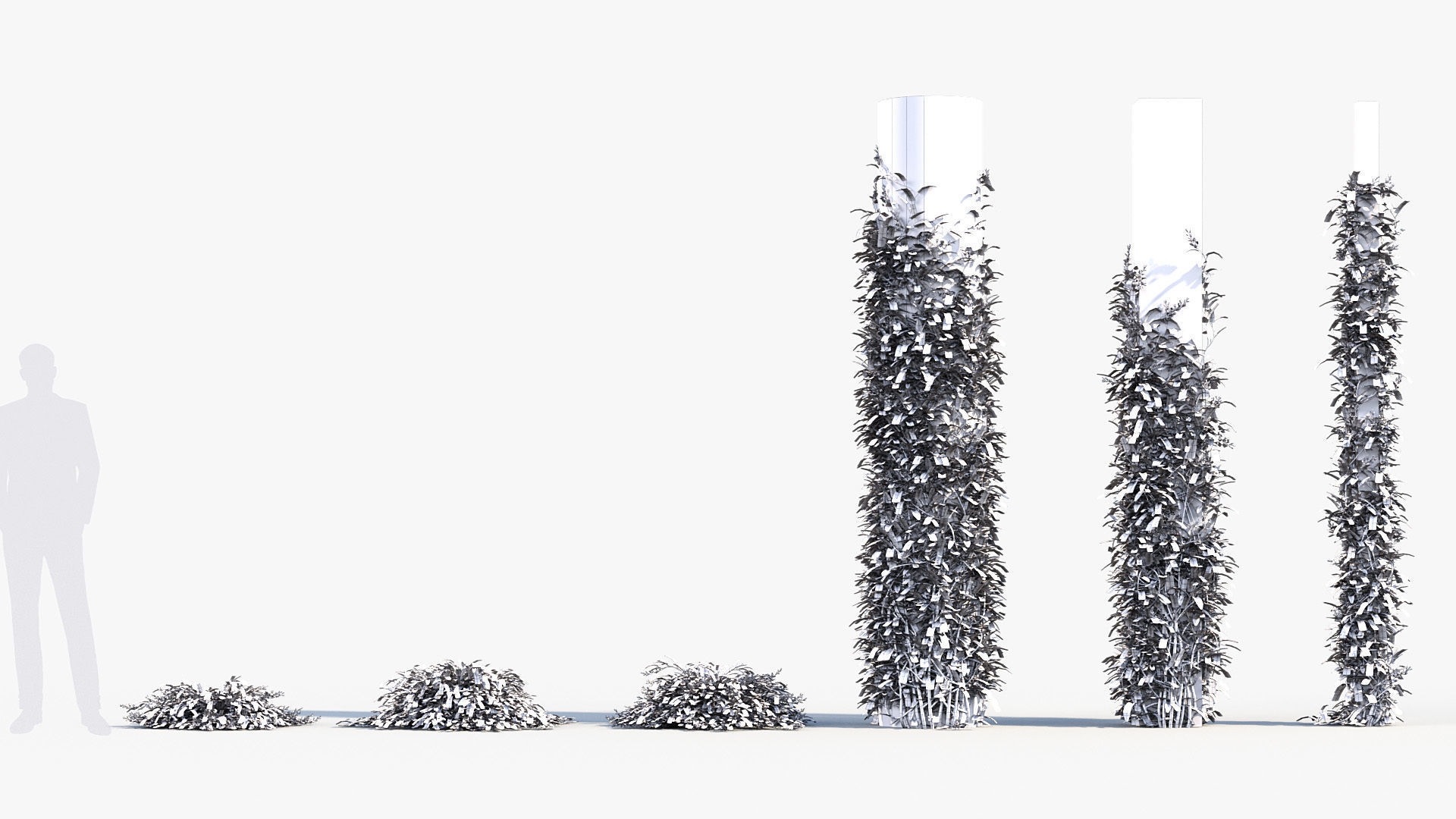 Package 12 Hang Vine Collection 3D model_72