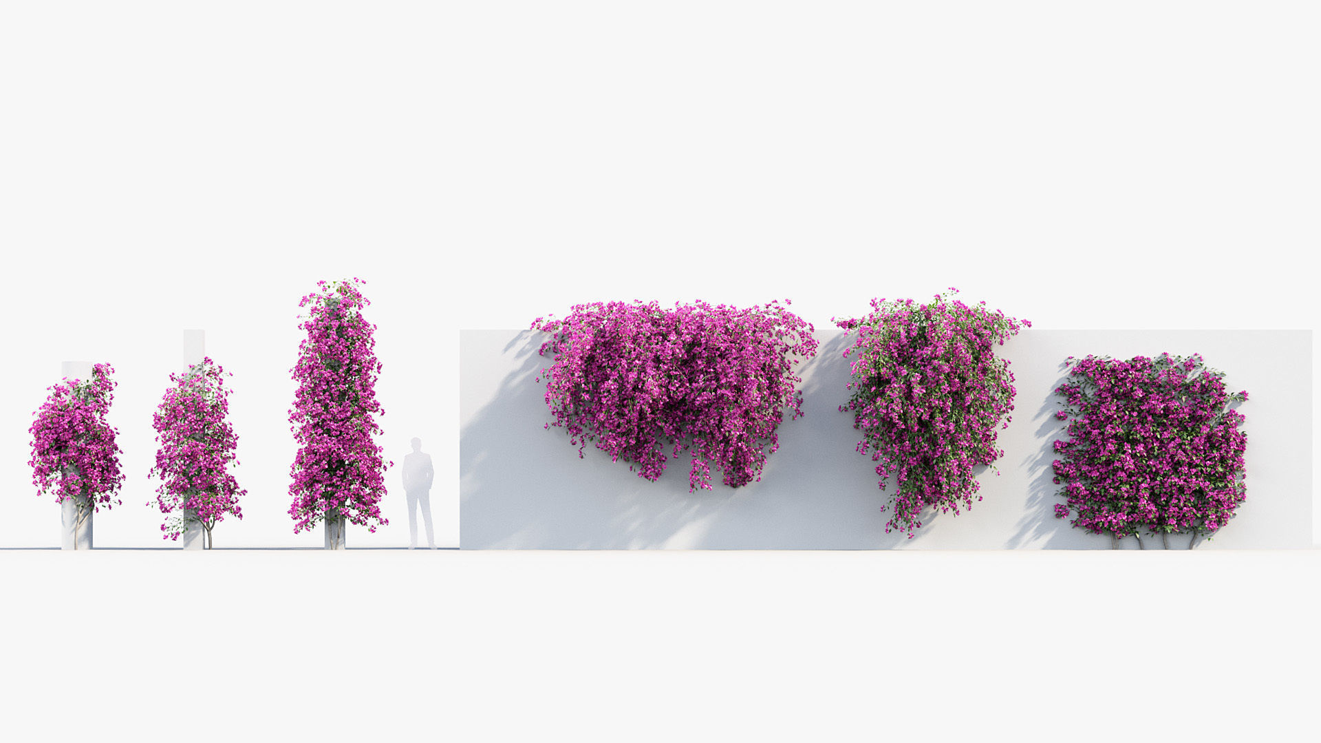 Package 12 Hang Vine Collection 3D model_9