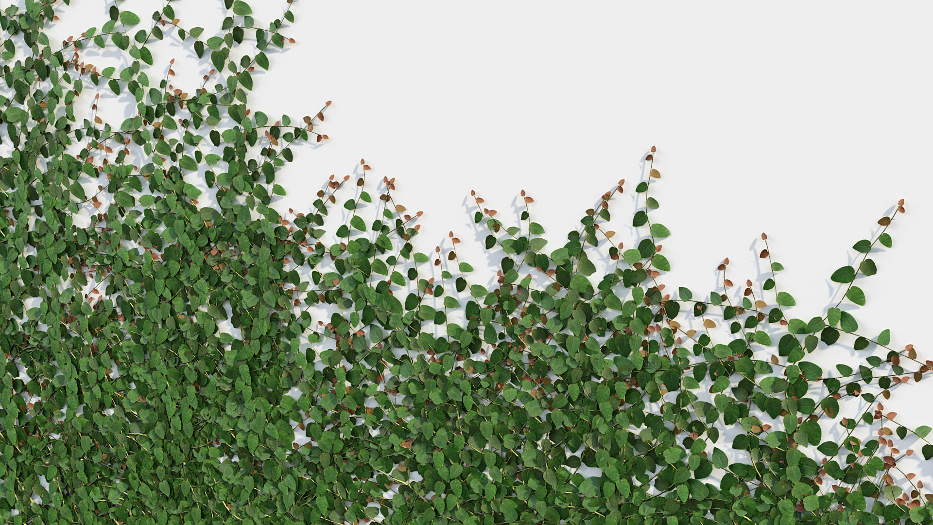 Package 12 Hang Vine Collection 3D model_61