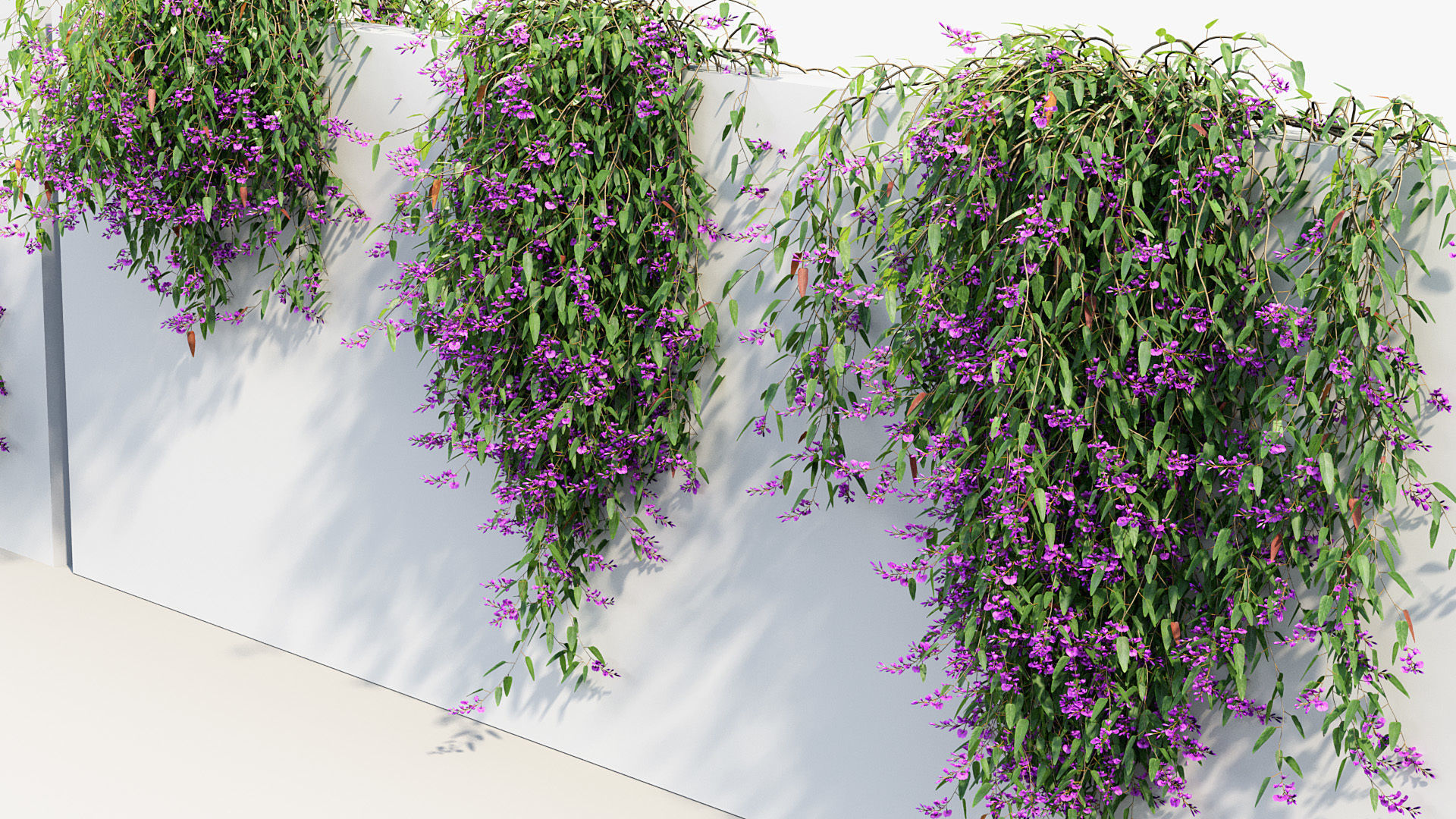 Package 12 Hang Vine Collection 3D model_78