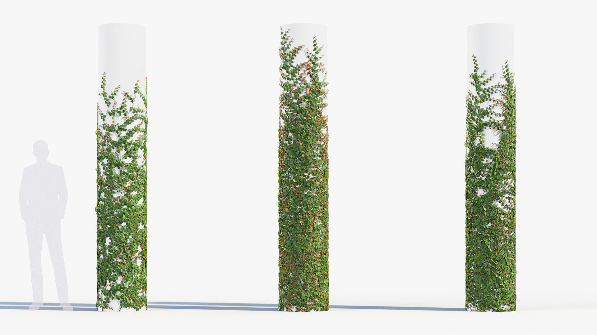 Package 12 Hang Vine Collection 3D model_51