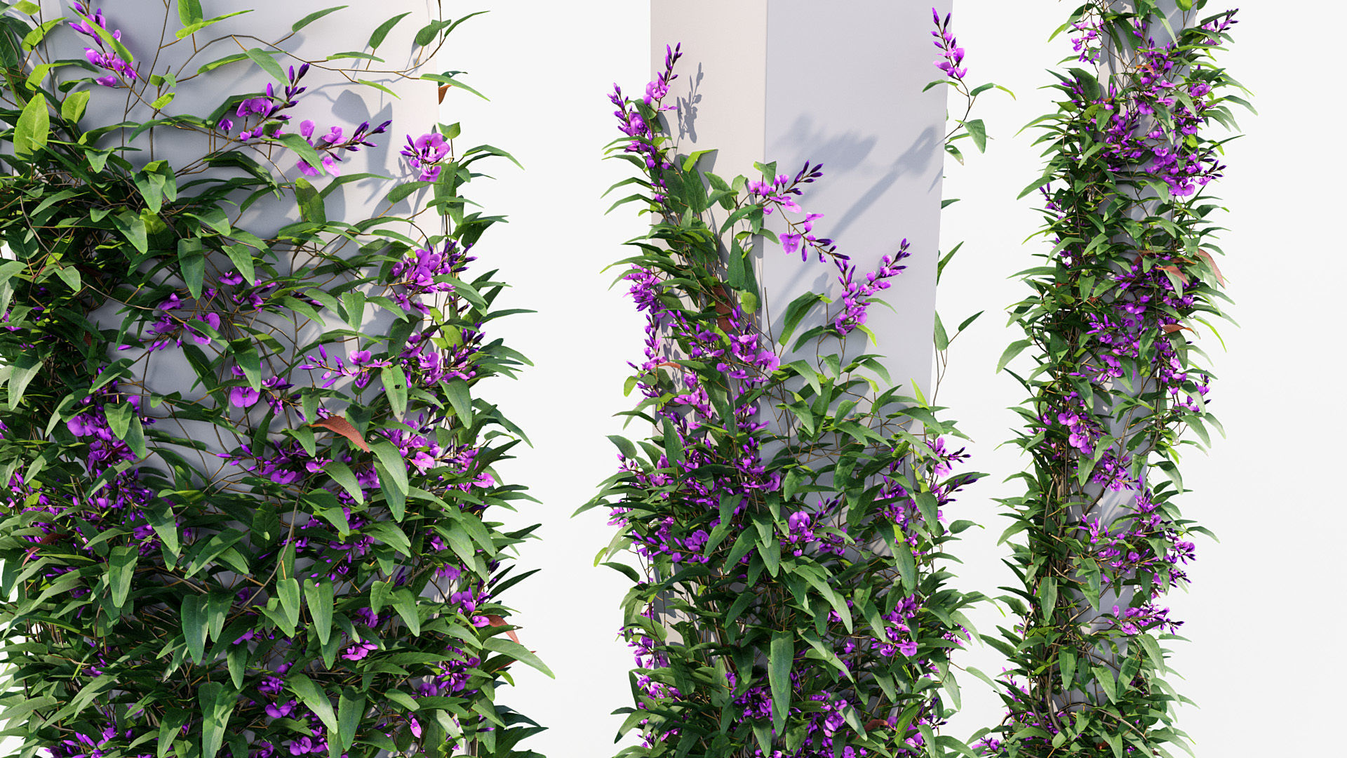 Package 12 Hang Vine Collection 3D model_69