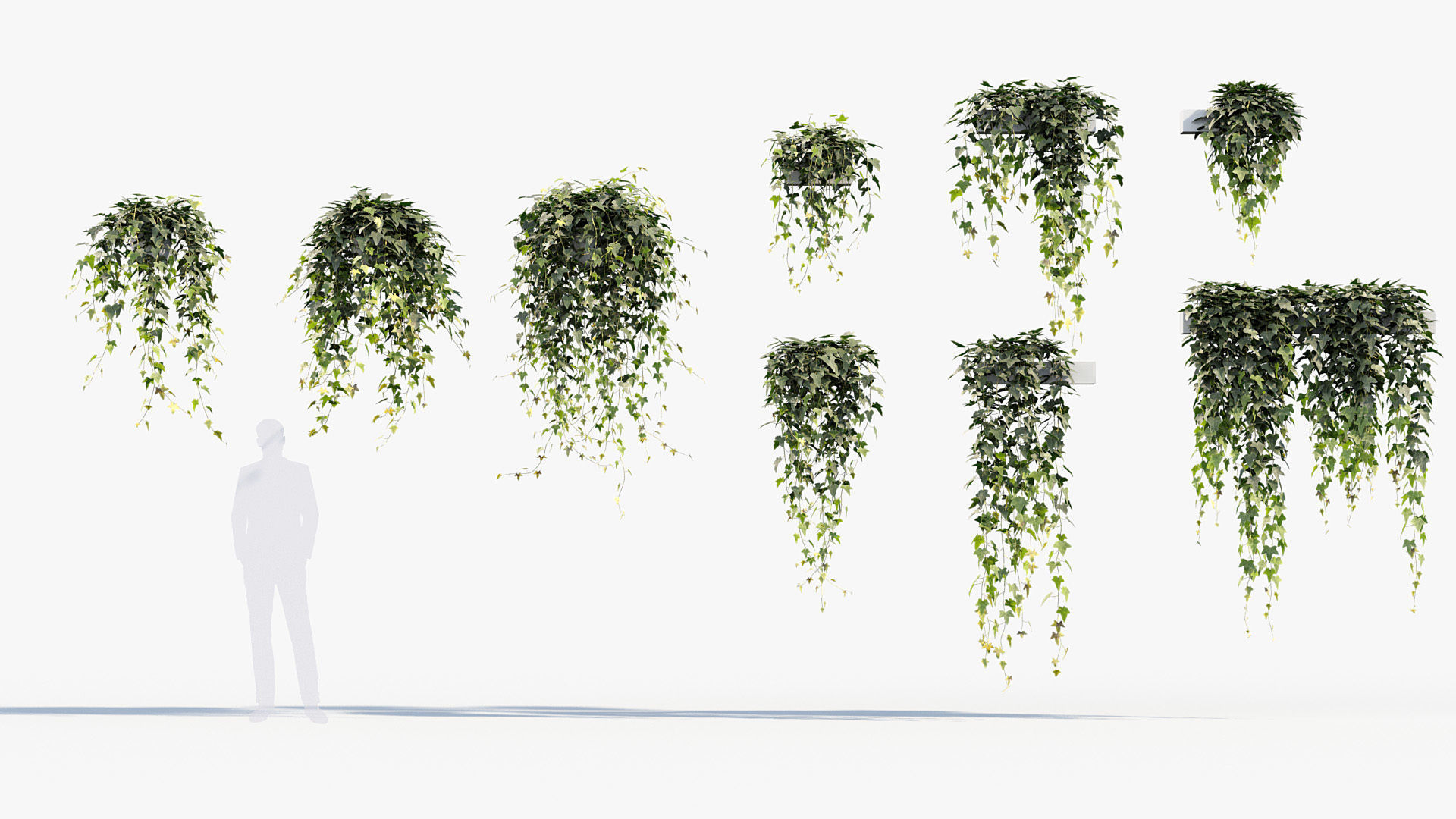 Package 12 Hang Vine Collection 3D model_33