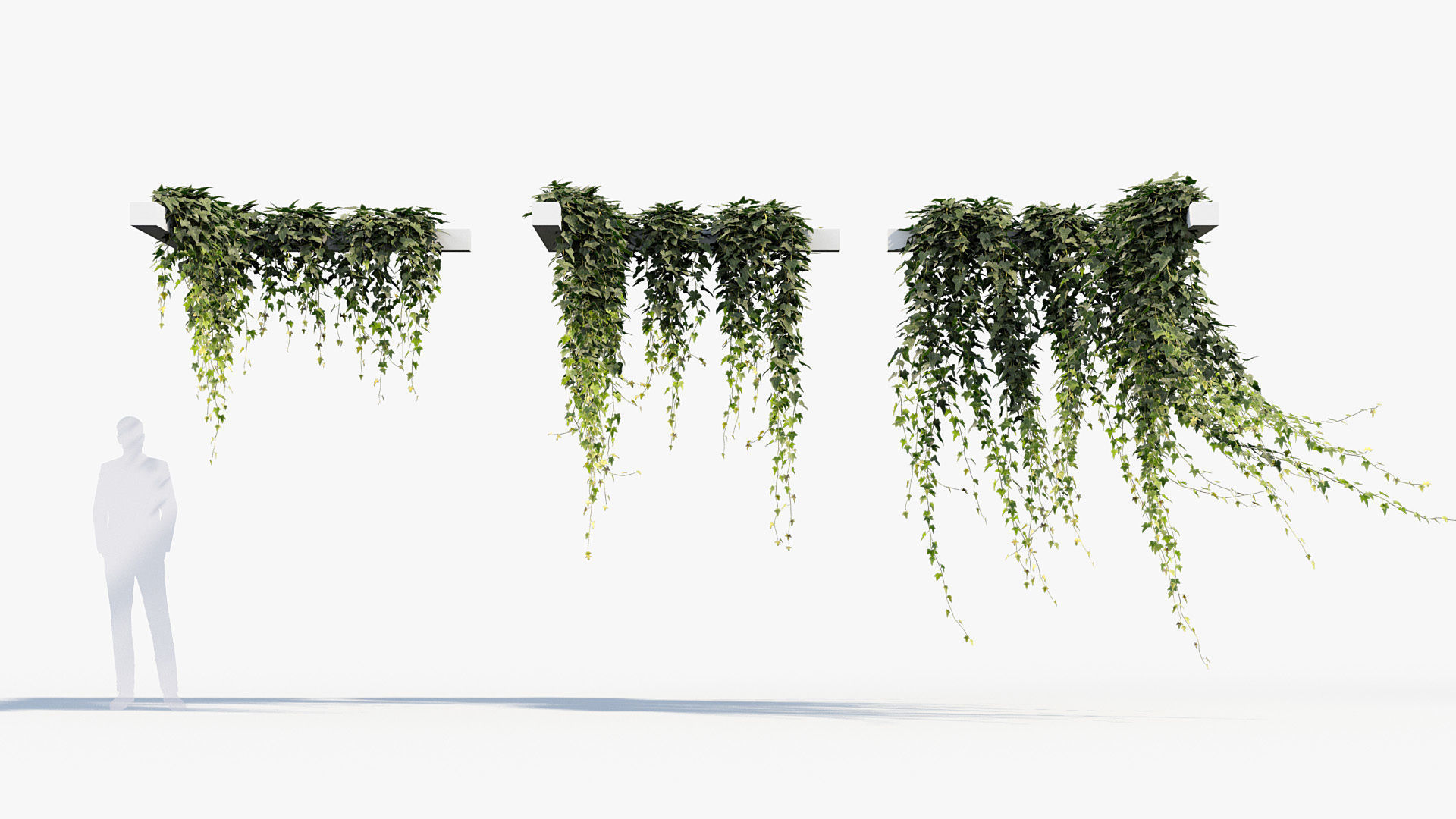 Package 12 Hang Vine Collection 3D model_42