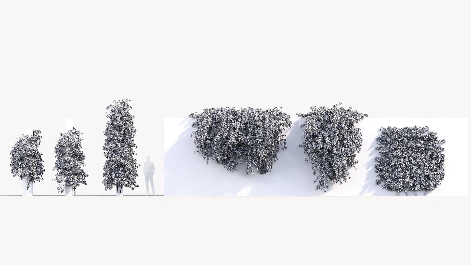 Package 12 Hang Vine Collection 3D model_16