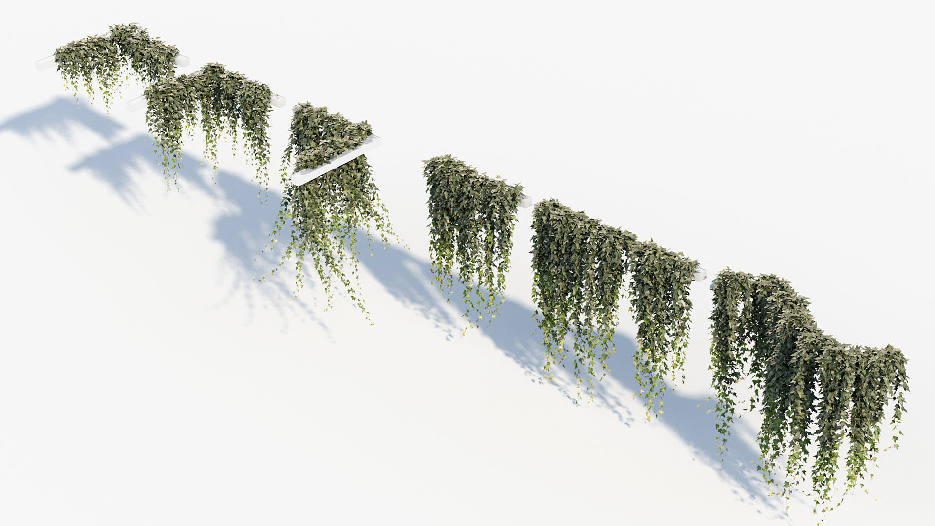 Package 12 Hang Vine Collection 3D model_47