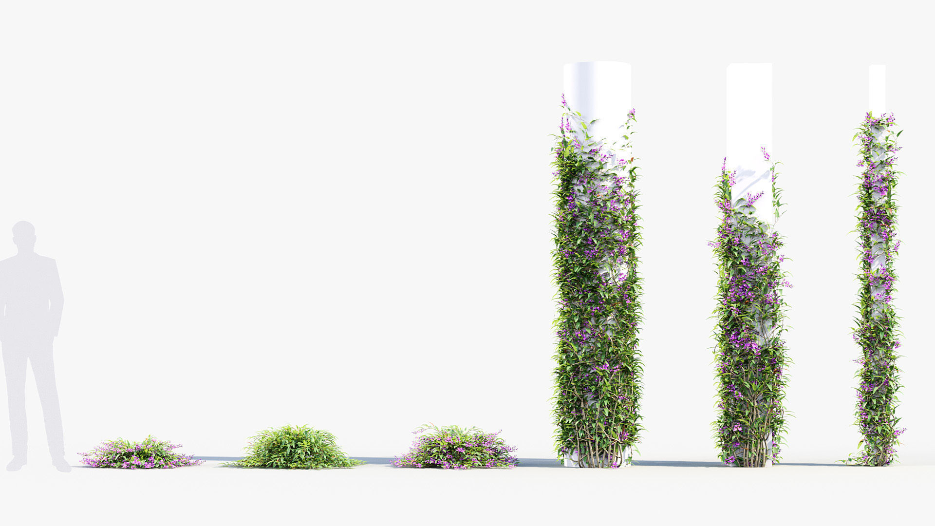 Package 12 Hang Vine Collection 3D model_65