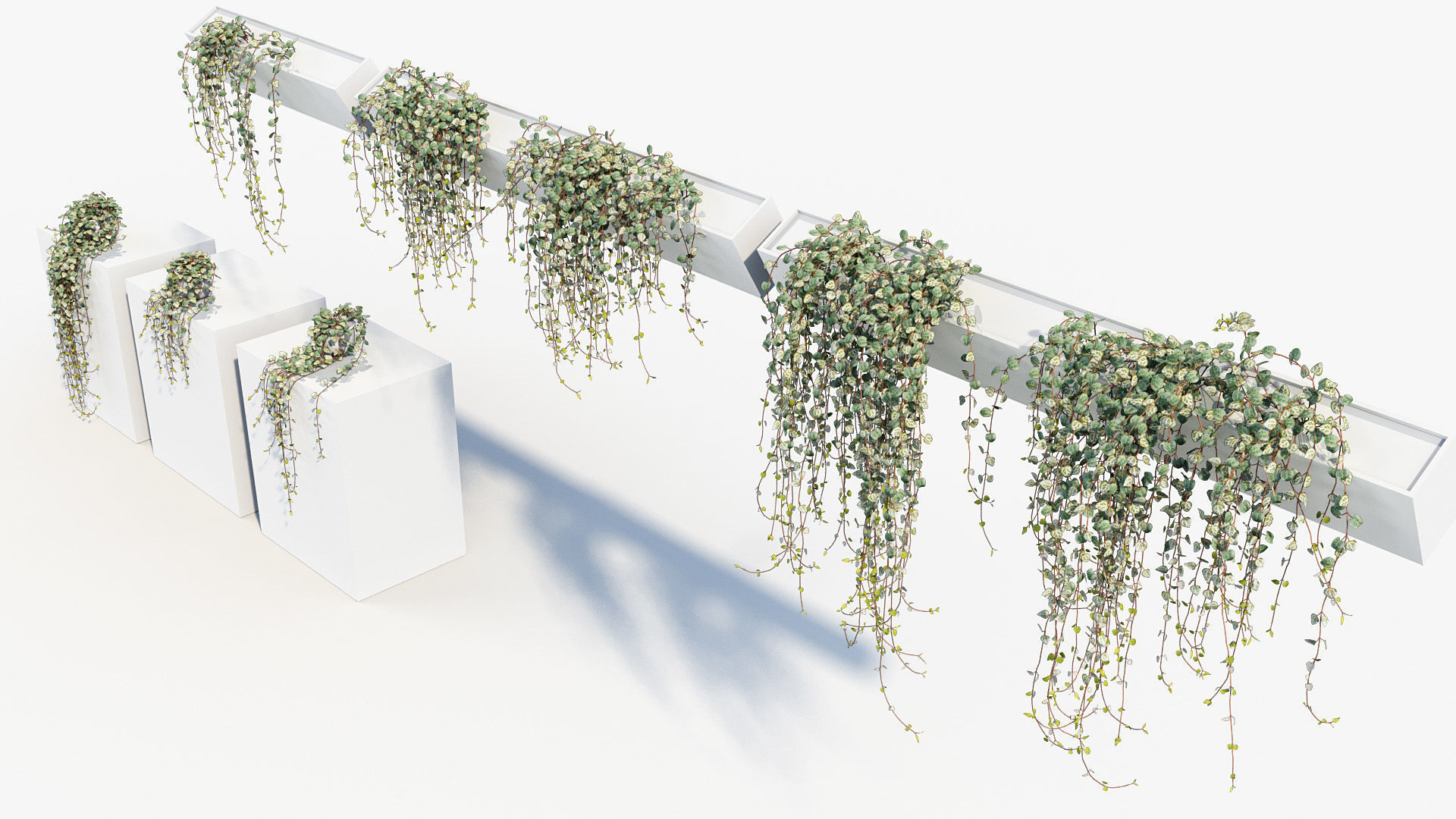 Package 12 Hang Vine Collection 3D model_31