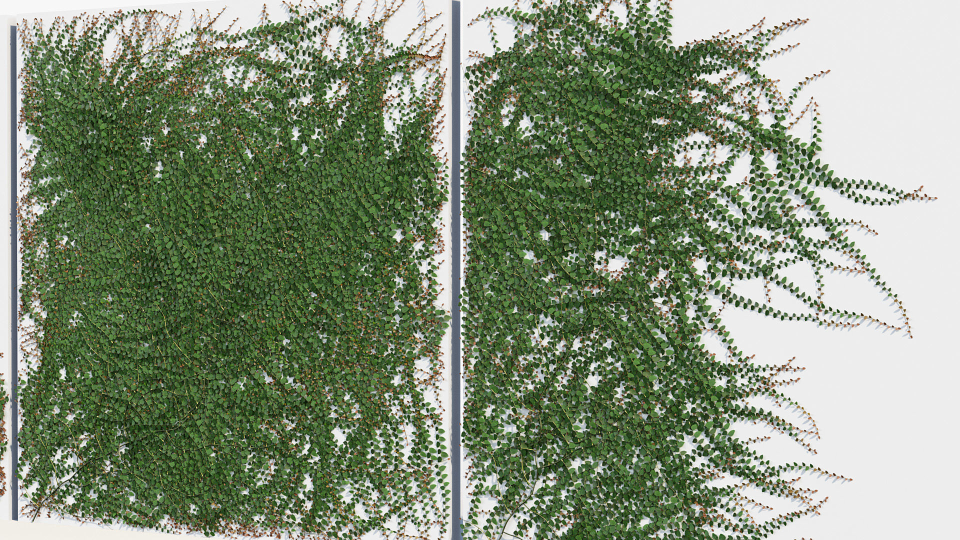 Package 12 Hang Vine Collection 3D model_60
